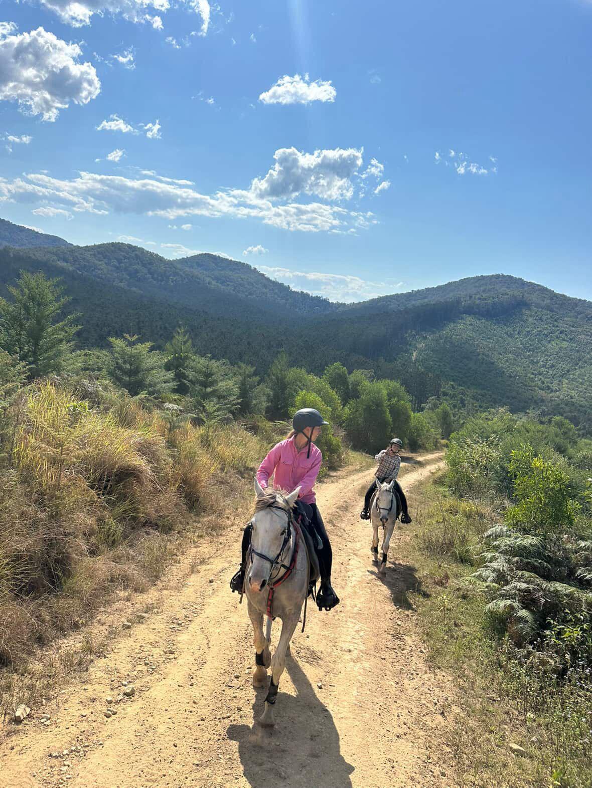 Randonnée à cheval dans les montagnes australiennes
